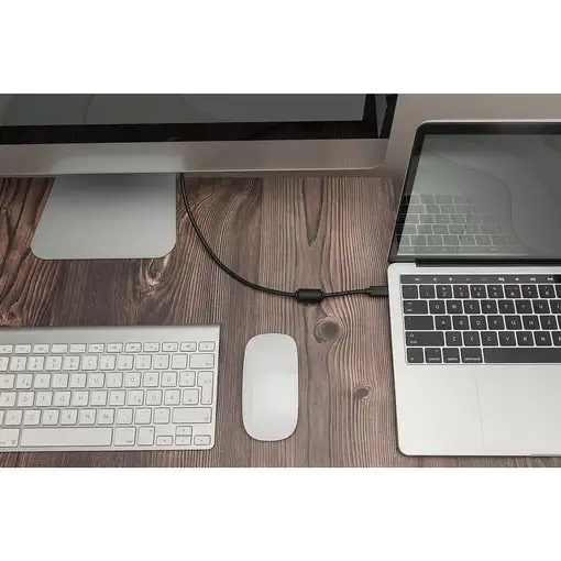 Digitus Cable adaptador USB Type-C Gen 2, Type-C a DP