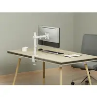 Equip Soporte de escritorio articulado para monitor de 17«-32», blanco