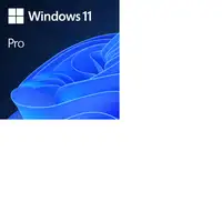 Microsoft Windows 11 Pro Producto empaquetado completo (FPP; full packaged product
