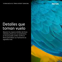 Xerox PHASER 6510 / WORKCENTRE 6515 Cartucho de tóner magenta de capacidad estánda