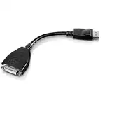 Lenovo 45J7915 adaptador de cable de vídeo 0,2 m DVI-D DisplayPort Negro