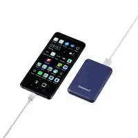 Intenso XS5000 Polímero de litio 5000 mAh Azul