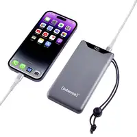 Intenso 7332034 batería externa Polímero de litio 10000 mAh Gris