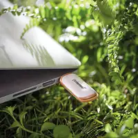 Intenso Green Line unidad flash USB 64 GB USB tipo A 3.2 Gen 1 (3.1 Gen 1) Beige,