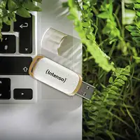 Intenso Green Line unidad flash USB 64 GB USB tipo A 3.2 Gen 1 (3.1 Gen 1) Beige,