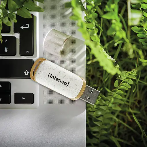 Intenso Green Line unidad flash USB 64 GB USB tipo A 3.2 Gen 1 (3.1 Gen 1) Beige,