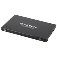 GIGABYTE GP-GSTFS31256GTND unidad de estado sólido 256 GB 2.5" Serial ATA III V-NA