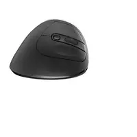 Ewent EW3229 ratón Oficina mano derecha RF inalámbrico Óptico 2400 DPI