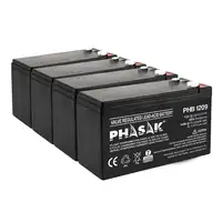 Phasak Batería 12V 9Ah - PHB 1209