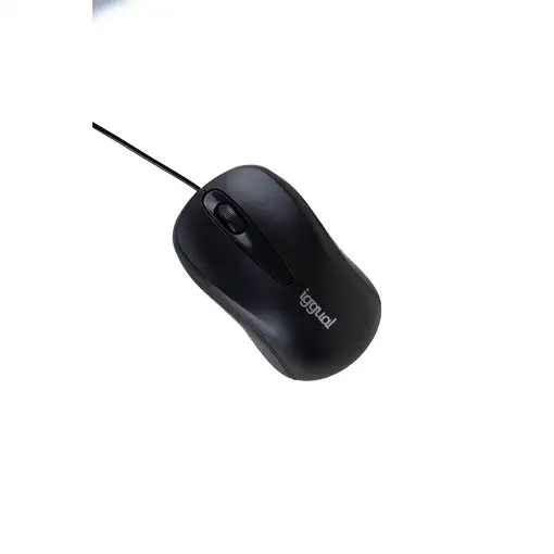 iggual COM-BASIC2-800DPI ratón Oficina Ambidextro USB tipo A