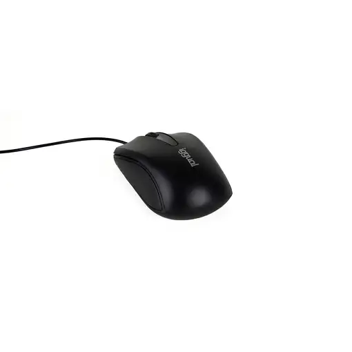 iggual COM-BASIC2-800DPI ratón Oficina Ambidextro USB tipo A