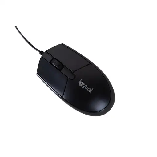 iggual COM-BASIC3-800DPI ratón Oficina Ambidextro USB tipo A