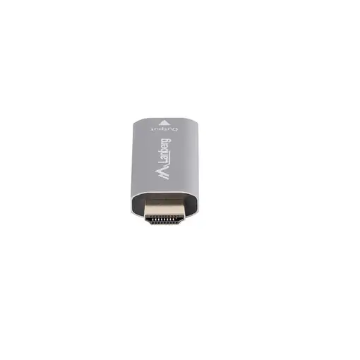 Lanberg AD-HD-DP-01 adaptador de cable de vídeo 0 m HDMI tipo A (Estándar) Display