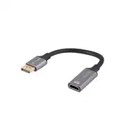 Lanberg AD-DP-HD-02 adaptador de cable de vídeo 0,2 m DisplayPort HDMI Plata