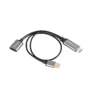 Lanberg AD-HD-DP-02 adaptador de cable de vídeo 0,2 m HDMI tipo A (Estándar) Displ