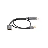 Lanberg AD-HD-DP-02 adaptador de cable de vídeo 0,2 m HDMI tipo A (Estándar) Displ