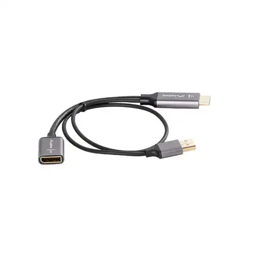 Lanberg AD-HD-DP-02 adaptador de cable de vídeo 0,2 m HDMI tipo A (Estándar) Displ