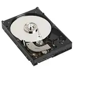 DELL NPOS - to be sold with Server only - 1TB 7.2K RPM SATA 6Gbps 512n 3.5in Cable