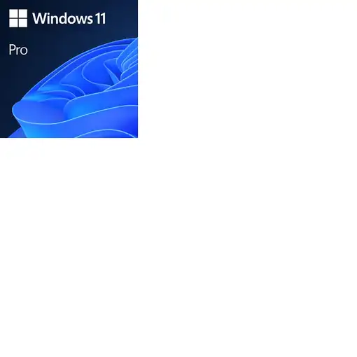 Microsoft Windows 11 Pro 1 licencia(s)