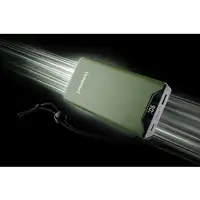 Intenso 7332057 batería externa Polímero de litio 20000 mAh Verde