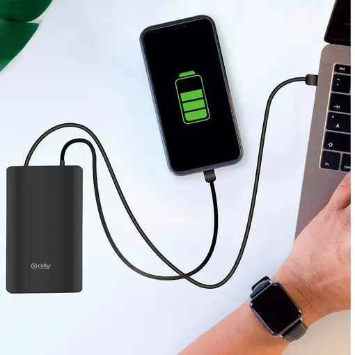 Celly PBPD45W15000BK batería externa 15000 mAh Negro