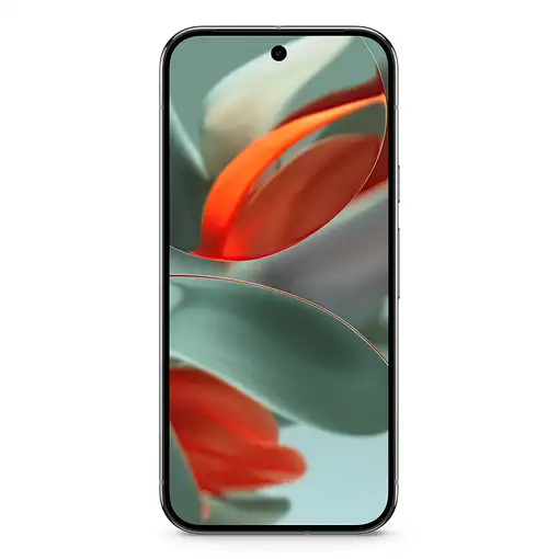 Google Pixel 9 Pro XL 17,3 cm (6.8") SIM doble Android 14 5G USB Tipo C 16 GB 256