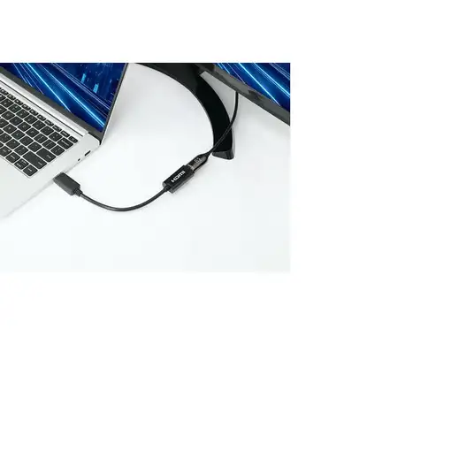 Manhattan 153713 cambiador de género para cable DisplayPort HDMI Negro