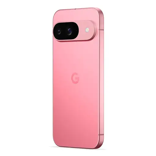Google Pixel 9 16 cm (6.3") SIM doble Android 14 5G USB Tipo C 12 GB 256 GB 4700 m
