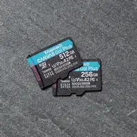 Kingston Technology Paquete de una tarjeta microSDXC Canvas Go Plus 170R A2 U3 V30
