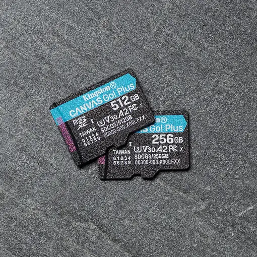 Kingston Technology Paquete de una tarjeta microSDXC Canvas Go Plus 170R A2 U3 V30