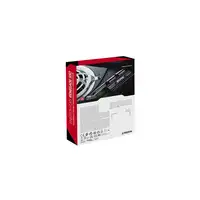 Kingston Technology 2000G RENEGADE PCIe 4.0 NVMe SSD W/ Difusor térmico