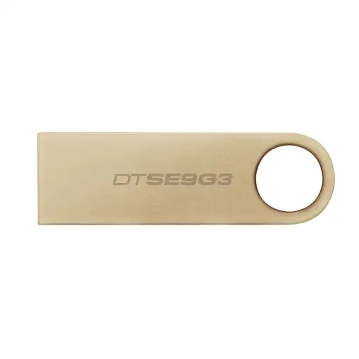 Kingston Technology DataTraveler 256GB 220MB/s Unidad USB 3.2 Gen 1 Metálica SE9 G