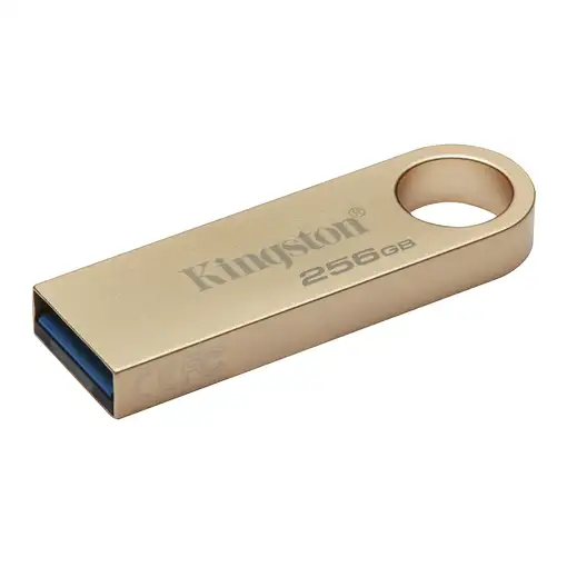 Kingston Technology DataTraveler 256GB 220MB/s Unidad USB 3.2 Gen 1 Metálica SE9 G