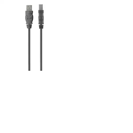 Belkin USB 2.0 A - USB 2.0 B, 3m cable USB USB A USB B Gris