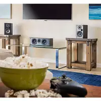 Polk Audio T30 altavoz De 2 vías Negro Alámbrico 100 W
