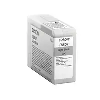 Epson Singlepack Light Black T850700