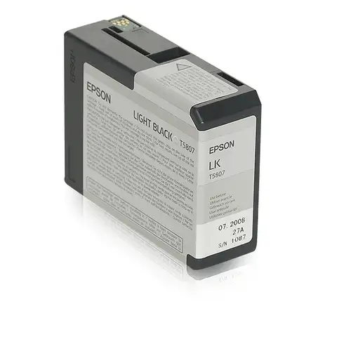 Epson Cartucho T580700 gris