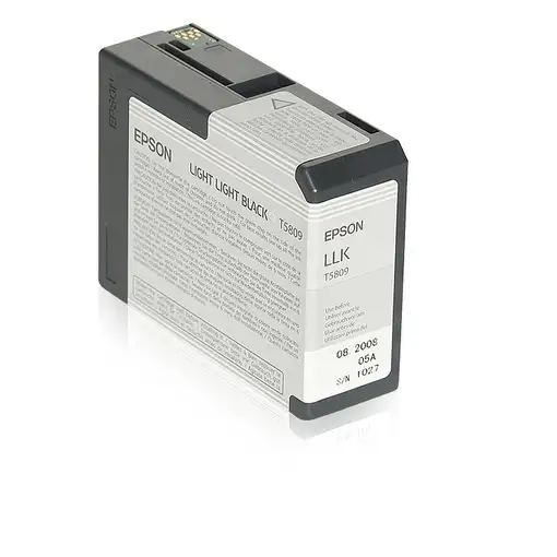 Epson Cartucho T580900 gris claro