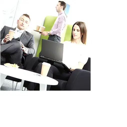 Fellowes PrivaScreen 39,6 cm (15.6") Pantalla/Portátil Filtro de privacidad para p