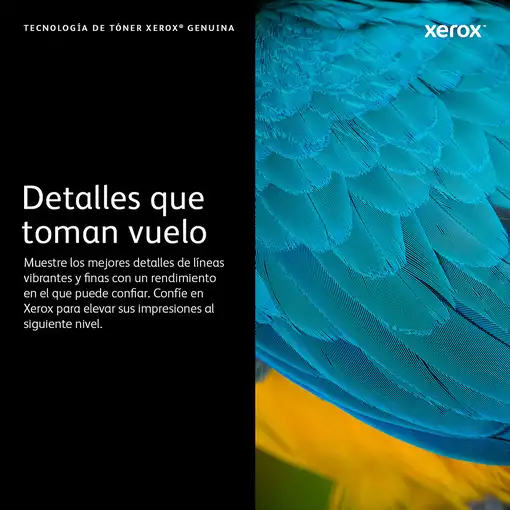 Xerox VersaLink B600/B605/B610/B615 Cartucho de tóner NEGRO de capacidad estándar