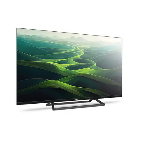 Engel LE4066T2 Televisor 101,6 cm (40'') Full HD Negro 230 cd / m²